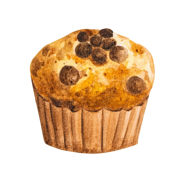 Muffin chocolate chip handgetekende aquarel