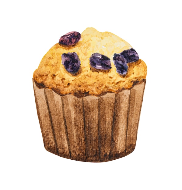 Muffin raisin hand drawn watercolorxA