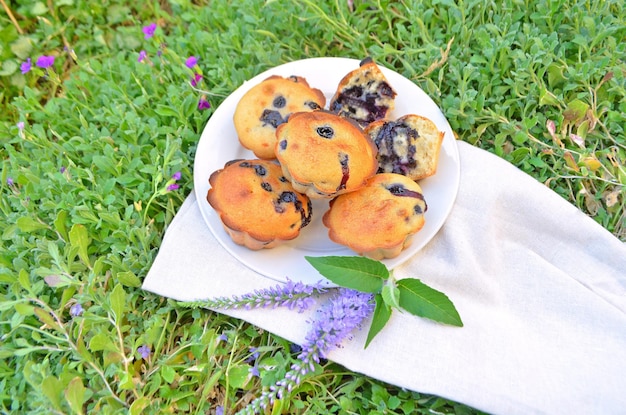 Muffins with blueberries and a sprig of mint