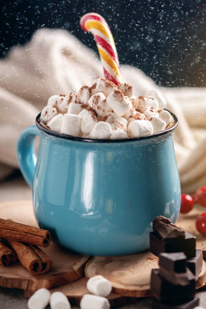 Mug of hot chocolate with marshmallow