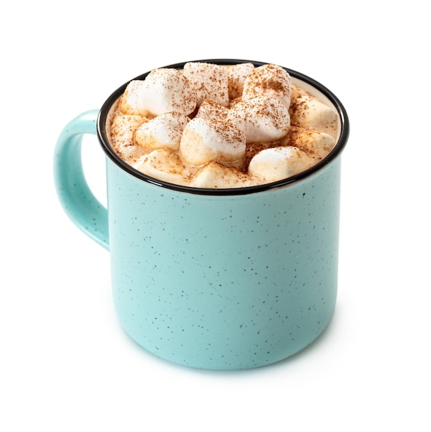 Mug of hot chocolate with marshmallows