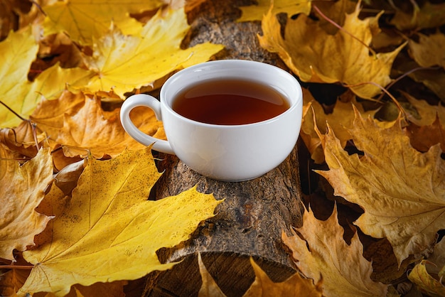 Mug of tea autumn leaves beautiful autumn composition with\
teacup autumn forest tea time