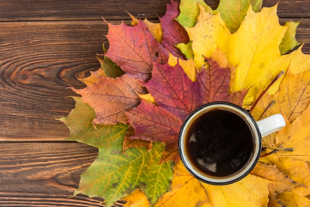 Mug of tea and autumn maple leaves