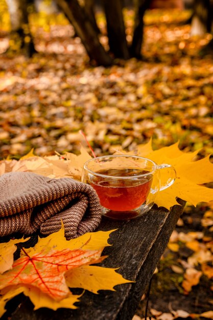 お茶のマグカップが黄色い紅葉のベンチに立っている居心地の良い秋のコンセプト