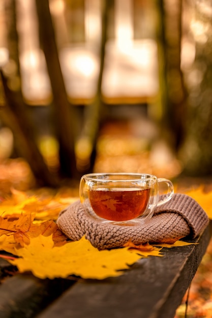 お茶のマグカップが黄色い紅葉のベンチに立っている居心地の良い秋のコンセプト