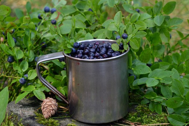 Mug with blueberries on a hemp closeup