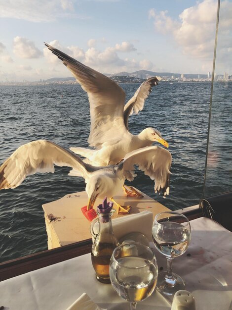 Foto muggels bij wijnglazen op een boot op zee