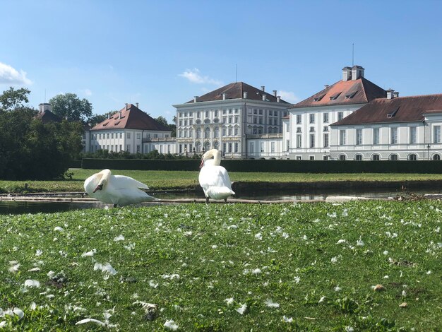 Foto muggels op een gebouw