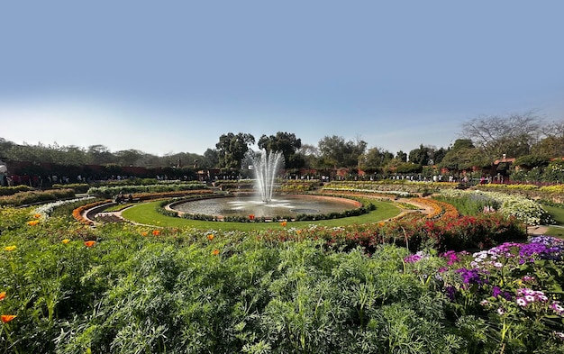 Photo mughal garden delhi or amrit udyan rashtrapati bhawan president39s estate new delhi delhi