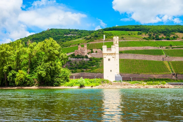 Muizentoren Bingen am Rhein