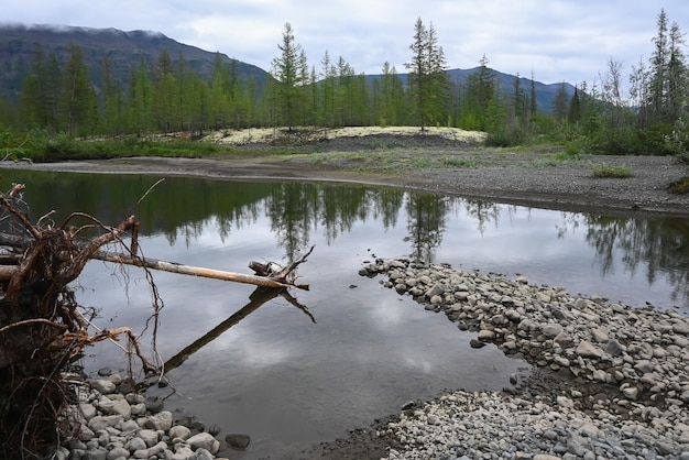 Il fiume muksun sull'altopiano di putorana