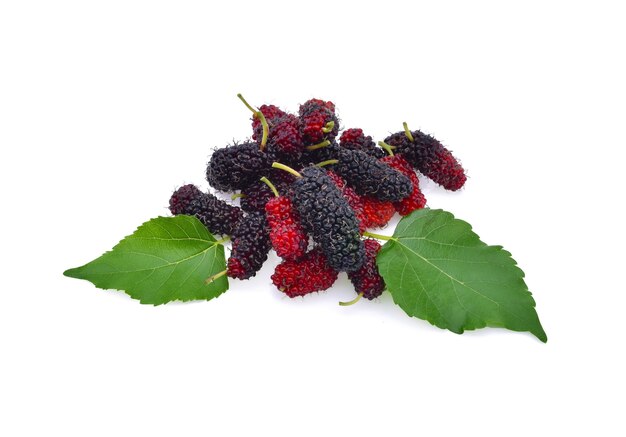 뽕나무 열매와 뽕나무 잎, 고립 된 건강한 뽕나무 과일 음식