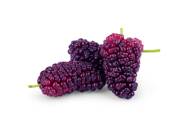 Mulberry berry with leaf isolated on white background