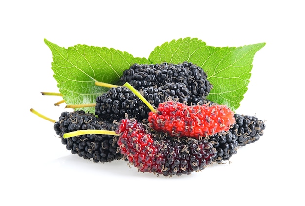 Mulberry berry with leaf isolated on white background