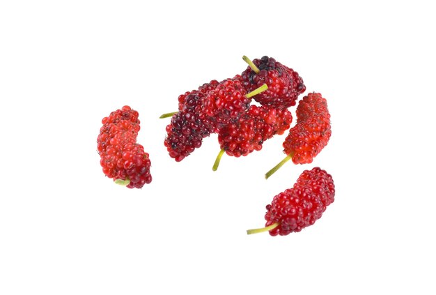 Mulberry fruit, Mulberry isolated on white background.