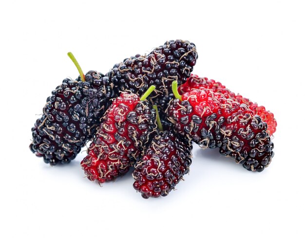 Mulberry isolated on white.