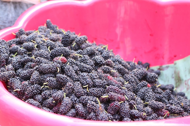 Mulberry at street food