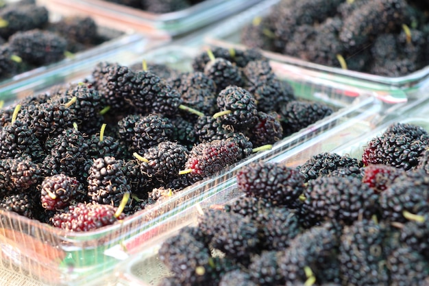 Mulberry at street food