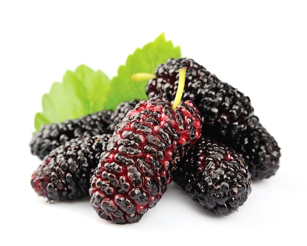 mulberry with leaves on a white