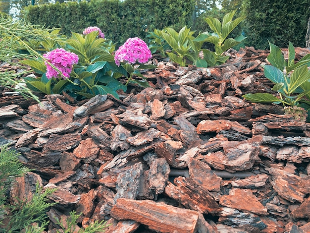 Photo mulched flower bed