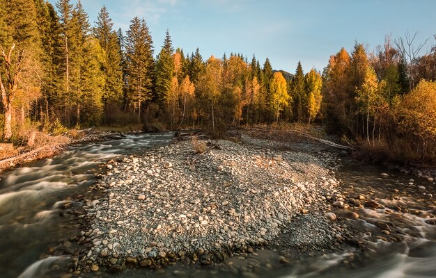 Река Мульта в горной республике Алтай, Россия.