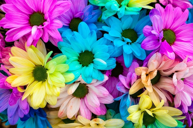 Colorful Flowers Images - Free Download on Freepik