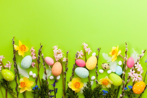 Multi colored flowers on white background