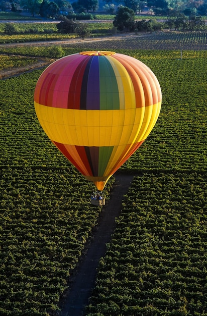 Foto palloncino ad aria calda multicolore sul campo