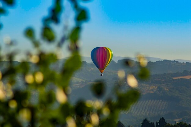 Multi colored hot air balloon flying in sky