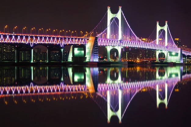 多色に照らされた夜の水