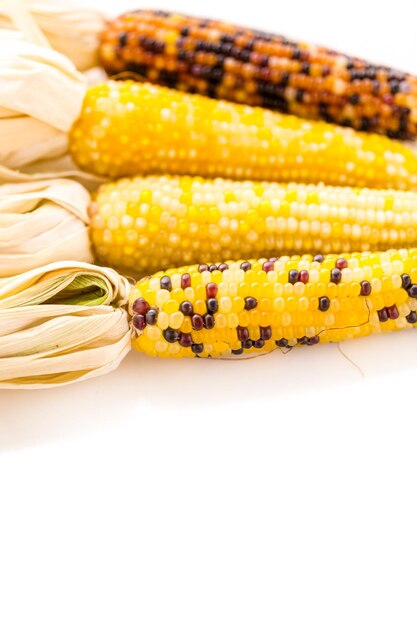 Photo multi colored indian corn made for thanksgiving decoration.