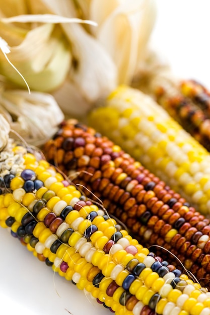 Photo multi colored indian corn made for thanksgiving decoration.