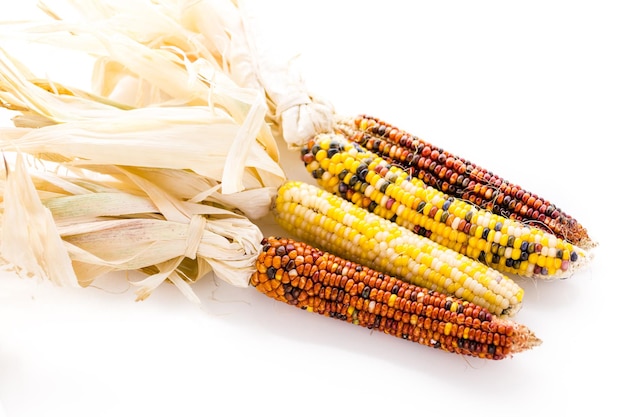 Multi colored indian corn made for Thanksgiving decoration.