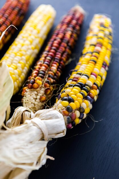 Multi colored indian corn made for Thanksgiving decoration.