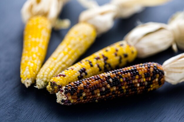 Multi colored indian corn made for Thanksgiving decoration.