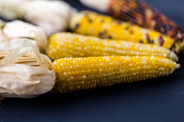 Multi colored indian corn made for Thanksgiving decoration.