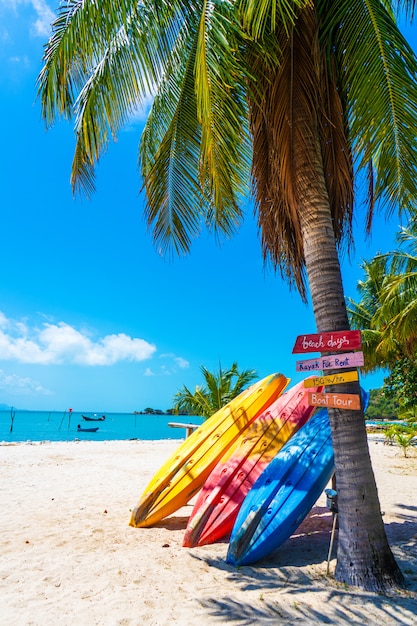 Разноцветные байдарки на тропическом песчаном пляже. Прокат каяков. Туристические развлечения
