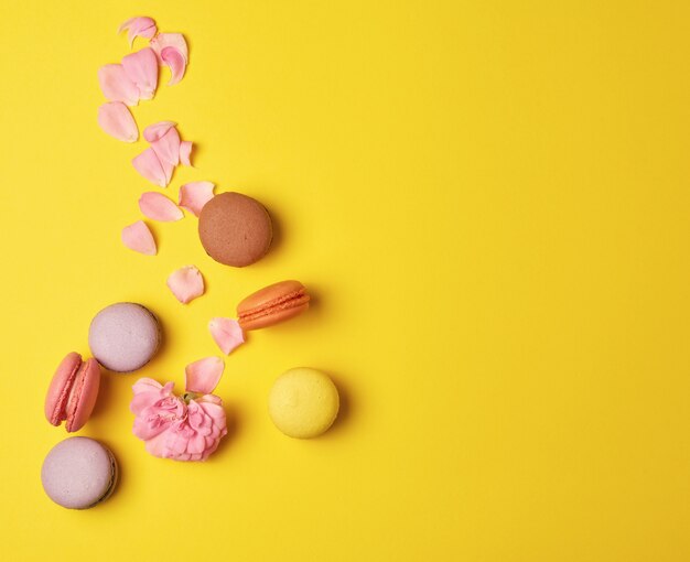 Multi colored macarons with cream and a pink rose bud with scattered petals 