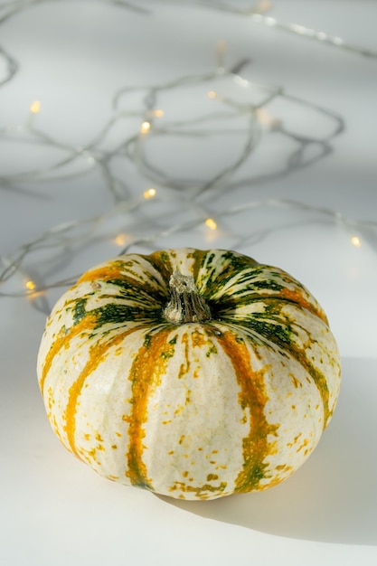 Multi-colored pumpkin on a white table