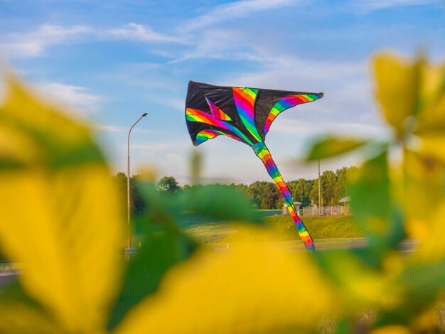 Photo multi colored umbrella against sky