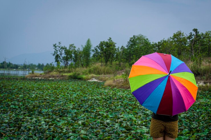 Photo multi colored umbrella on field against sky