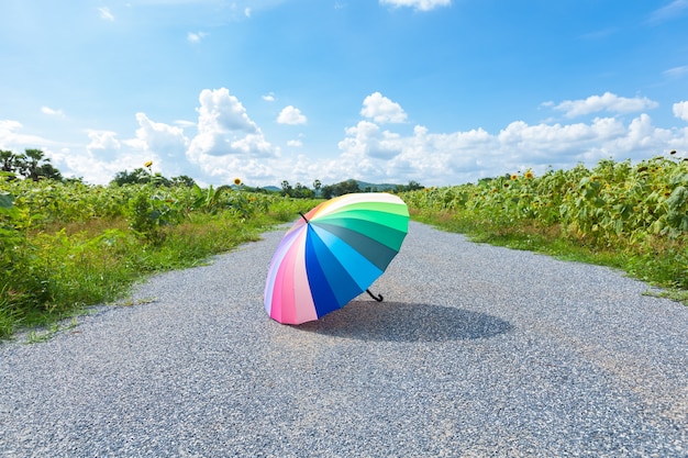 Multi-colored umbrella on the street.