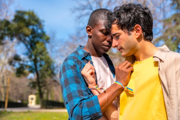 Multi-etnisch homoseksueel mannelijk paar op een romantische wandeling in het park lgbt-concept