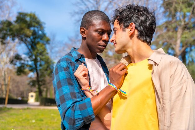 Multi-etnisch homoseksueel mannelijk paar op een romantische wandeling in het park lgbt-concept