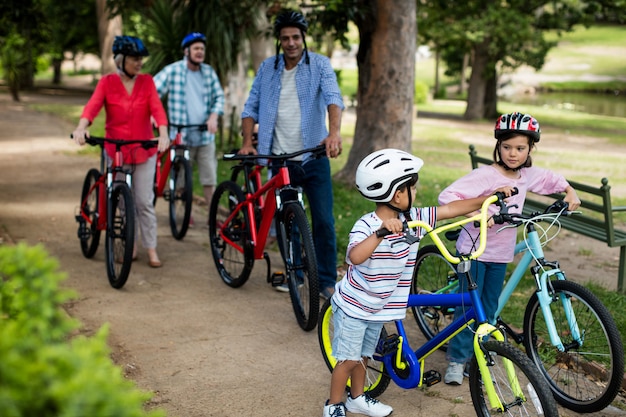 Семья нескольких поколений гуляя с велосипедом в парке