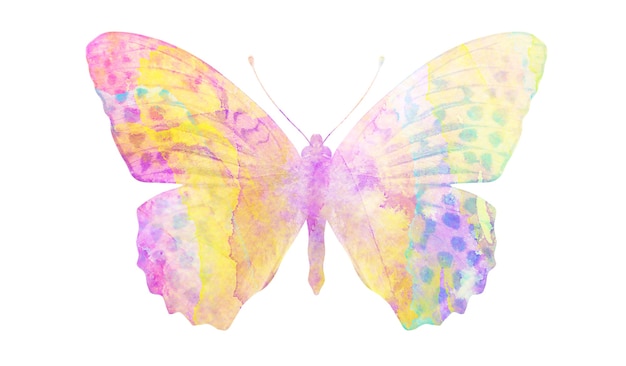 Multicolor aquarel vlinder. tropisch insect voor ontwerp. geïsoleerd op witte achtergrond