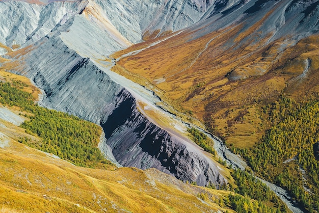 Multicolor autumn landscape with gray mountain ridge in dragon tail shape with orange and lilac tint in valley with forest in sunshine. Amazing motley mountain scenery with rockies in autumn colors.