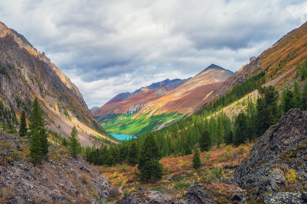 オレンジ色の日当たりの良い山と色とりどりの秋の風景。秋の鋭い山の尾根への壮大なカラフルな景色。秋の色のモトリー山の風景。