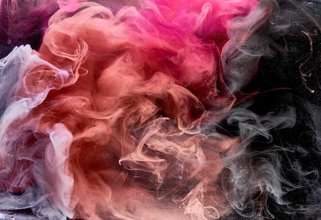 Multicolor pink smoke on black ink background colorful fog abstract swirling touch ocean sea acrylic paint pigment underwater