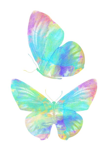 Photo multicolor watercolor butterfly. tropical insect for design. isolated on white background